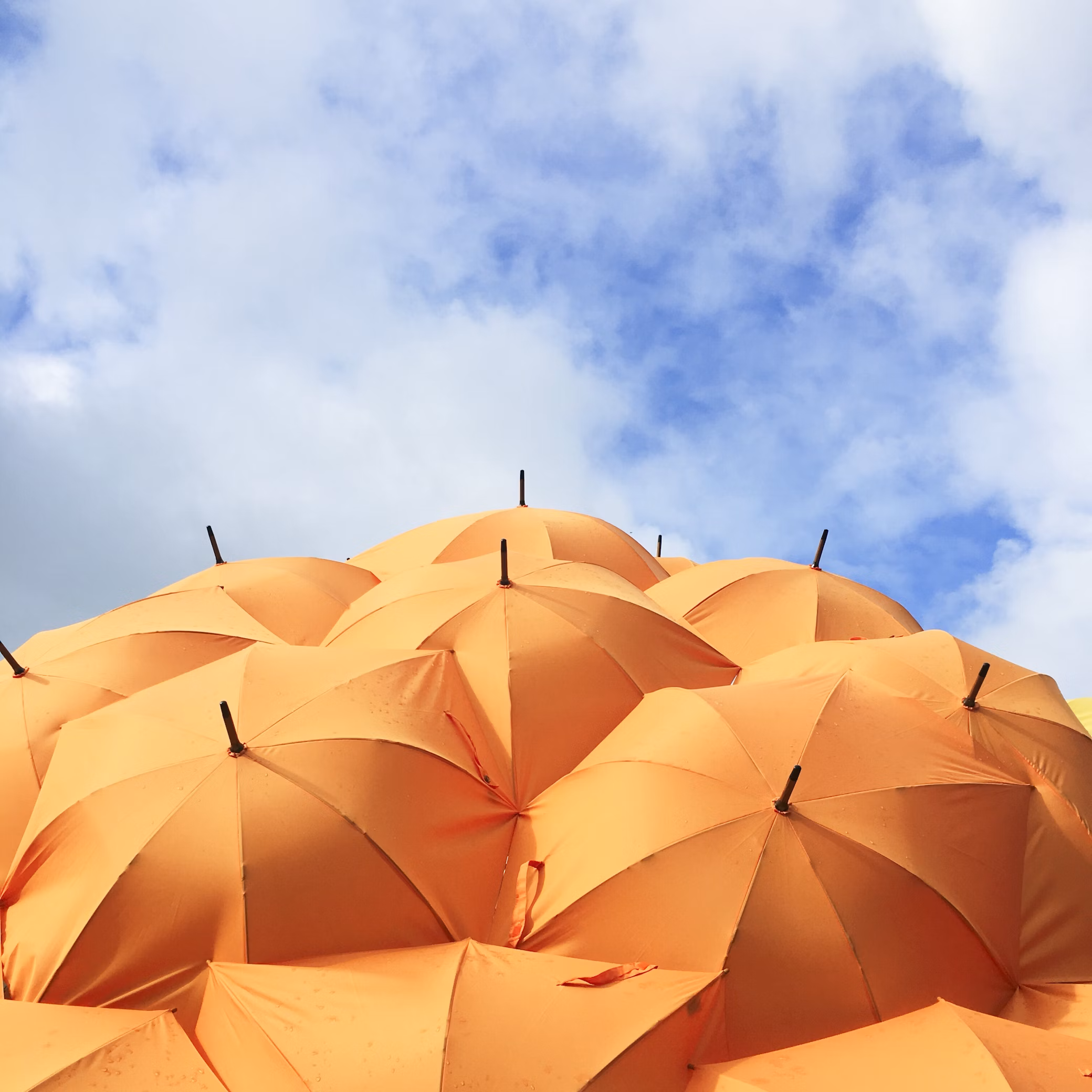 L’assurance emprunteur : tout ce que vous devez savoir !
